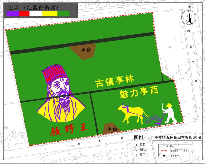 北斗卫星神定点，五彩水稻绘传奇