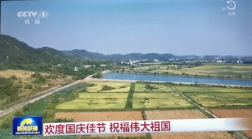 上央视-欧陆注册五彩稻田画，助力乡村振兴